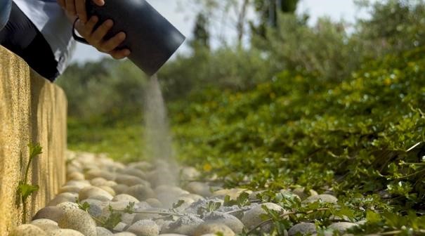 Ash Scattering at Garden of Peace service